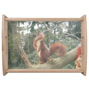 Cute Standing Squirrel Serving Tray