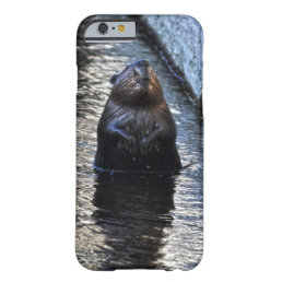 Cute Standing Wild Beaver 2 Wildlife Photo Barely There iPhone 6 Case