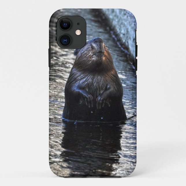 Cute Standing Wild Beaver 2 Wildlife Photo Case-Mate iPhone Case (Back)