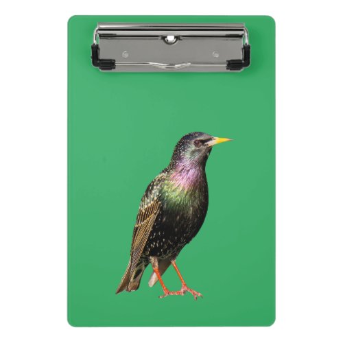 Cute Starling Bird Mini Clipboard