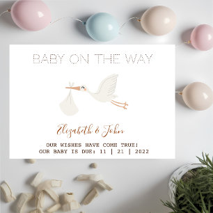 Cute Stork Baby Shower Announcement