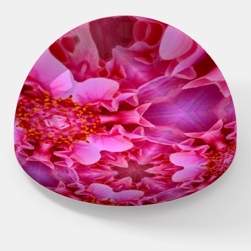 CUTE STRIKING Garden Pink Hibiscus  UNUSUAL Paperweight