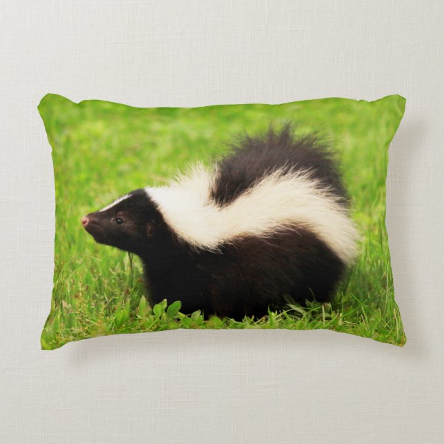 Cute Striped Skunk Accent Pillow (Front)