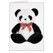 Cute Stuffed Panda (Front)