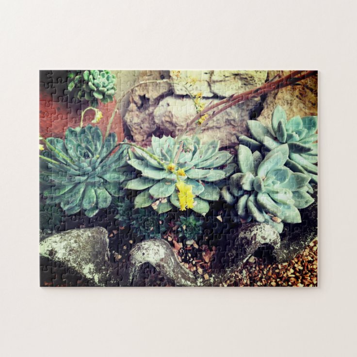Cute Succulents Cacti Cactus Greenery Desert Jigsaw Puzzle Zazzle