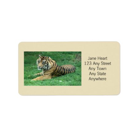 Cute Sumatran Tiger In The Grass Avery Label