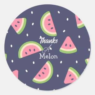 Cute Summer Blue Green Thank You Watermelon Classic Round Sticker