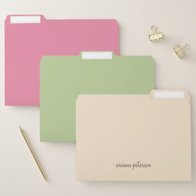 Cute Summer Vibe Pastel Color block  File Folder (Set)