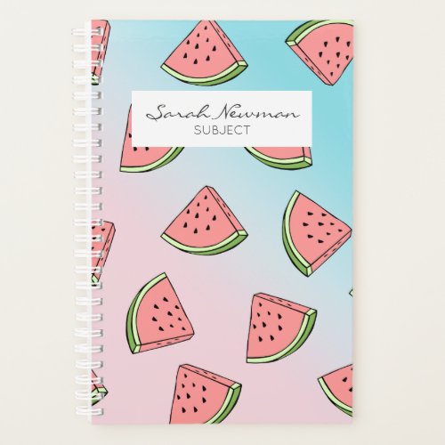 Cute summer watermelon pattern pastel pink  blue planner