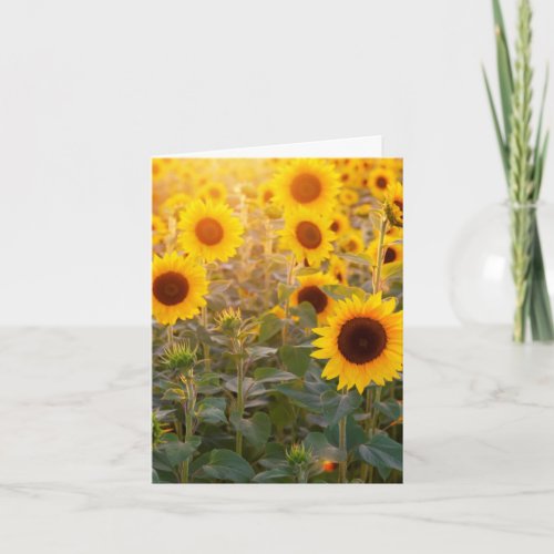 Cute Sunflower Field Summer Bloom Note Card