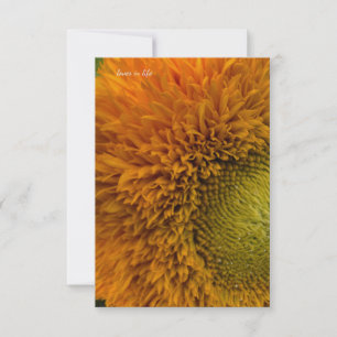 Cute Sunflower With Green Center Note Card