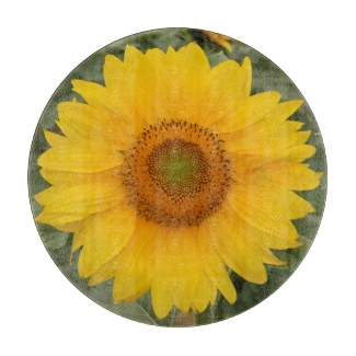 Cute Sunny Yellow Sunflower