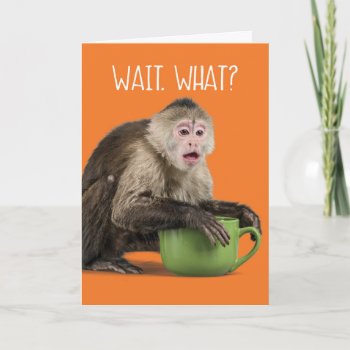 Cute Surprised Monkey Complimentary Birthday Age Card by CimZahDesigns at Zazzle