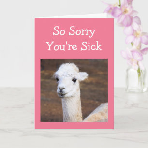 Cute Sweet Llama Get Well Card