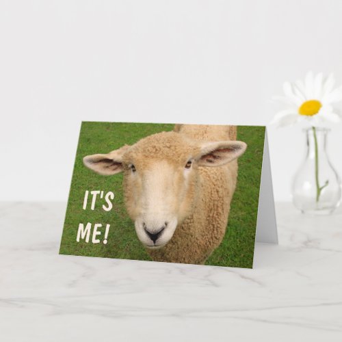 Cute Sweet Sheep Birthday Card
