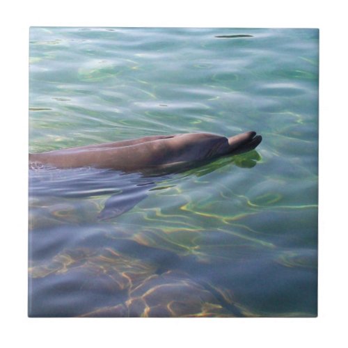 Cute Swimming Dolphin Ceramic Tile