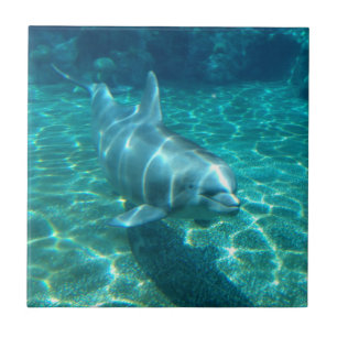 Cute Swimming Dolphin Ceramic Tile