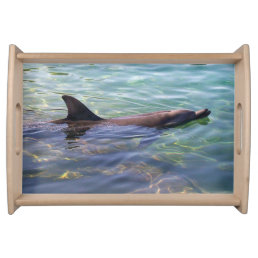 Cute Swimming Dolphin Serving Tray