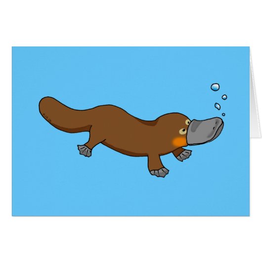 Cute swimming duck-billed platypus (Front Horizontal)