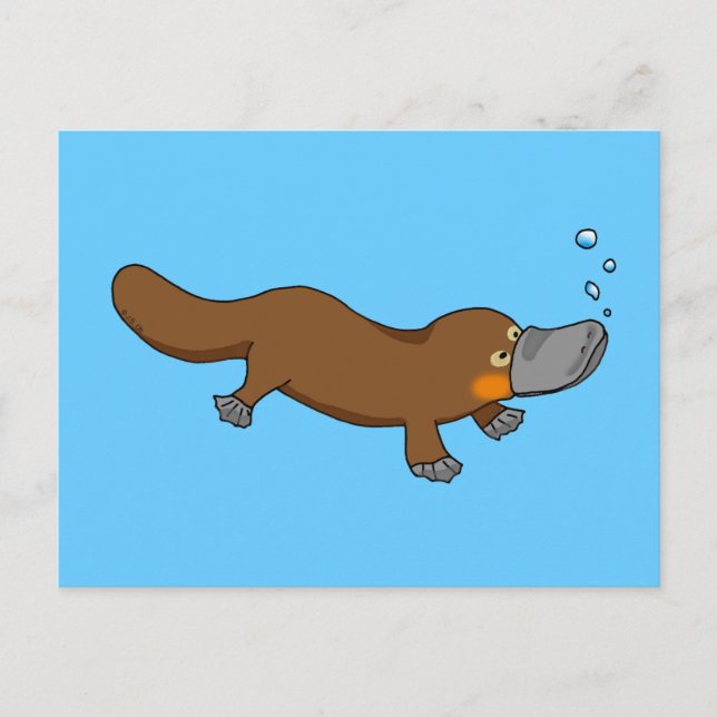 Cute swimming duck-billed platypus postcard (Front)