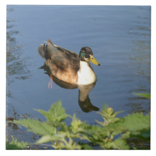 Cute Swimming Duck Ceramic Tile