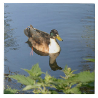 Cute Swimming Duck Ceramic Tile