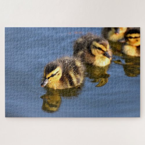 Cute swimming ducklings jigsaw puzzle