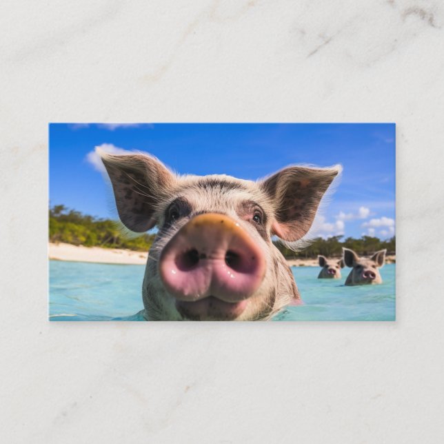 Cute Swimming Pig Exuma Bahamas Business Card (Front)