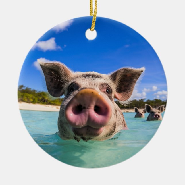 Cute Swimming Pig Exuma Bahamas Ceramic Ornament (Front)