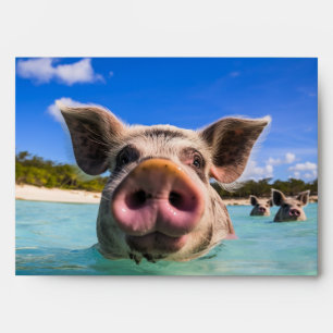 Cute Swimming Pig Exuma Bahamas Envelope