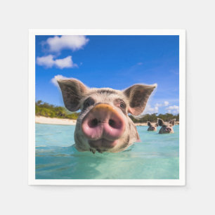 Cute Swimming Pig Exuma Bahamas Napkins