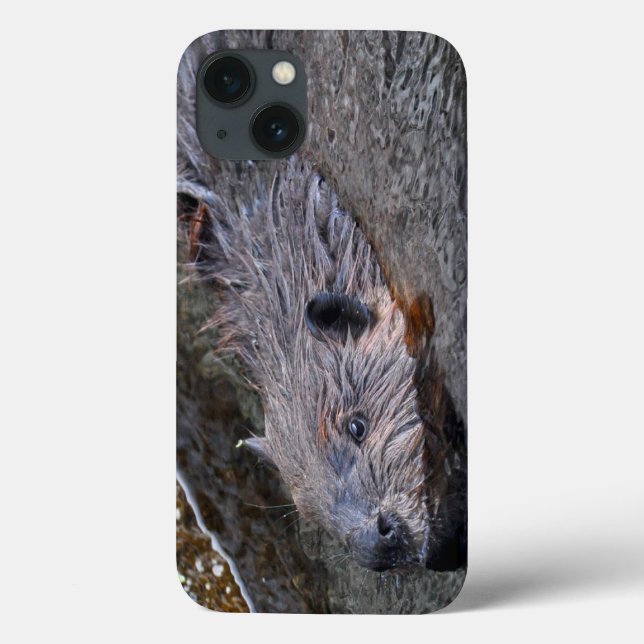 Cute Swimming Wild Beaver Wildlife Photo Case-Mate iPhone Case (Back)