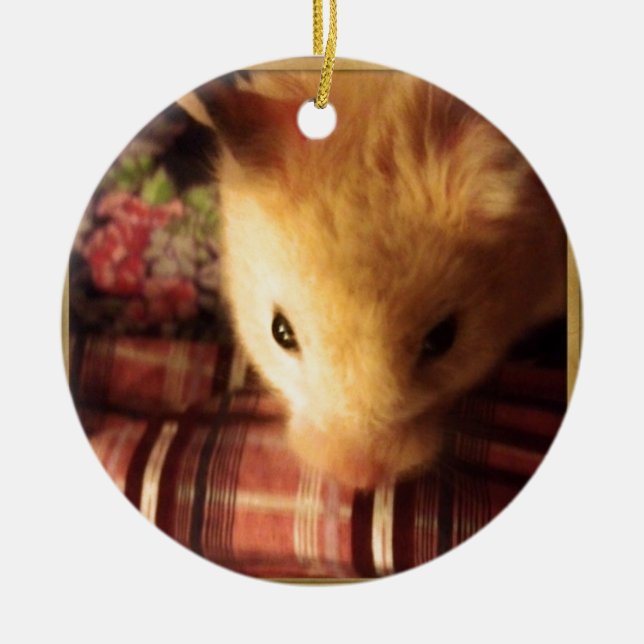 Cute Syrian Hamster Ceramic Ornament (Front)