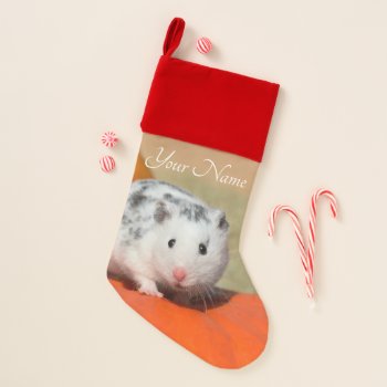 Cute Syrian Hamster White Black Spots Funny - Name Christmas Stocking by Kathom_Photo at Zazzle