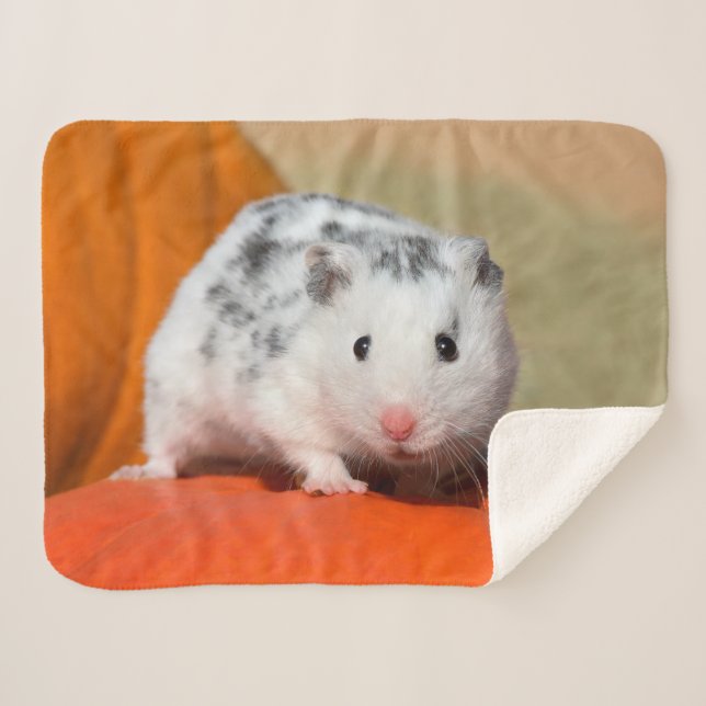Cute Syrian Hamster White Black SpotsFunny Pet on Sherpa Blanket (Front (Horizontal))