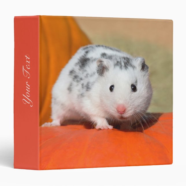 Cute Syrian Hamster White Black Spotted Funny Pet 3 Ring Binder (Front/Spine)