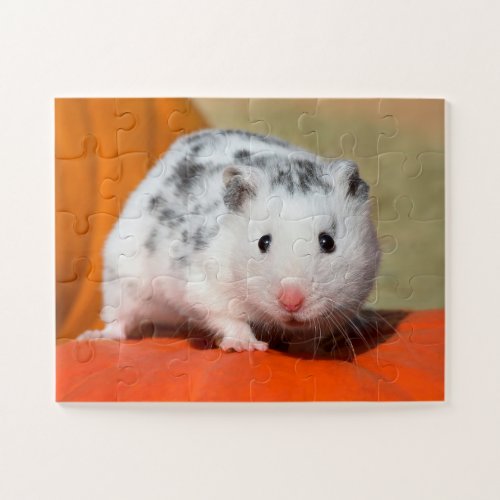 Cute Syrian Hamster White Black Spotted Funny Pet Jigsaw Puzzle