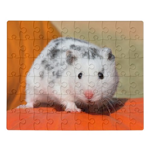Cute Syrian Hamster White Black Spotted Funny Pet Jigsaw Puzzle