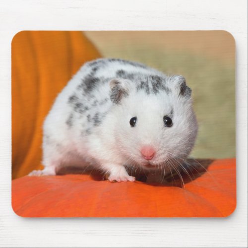 Cute Syrian Hamster White Black Spotted Funny Pet Mouse Pad