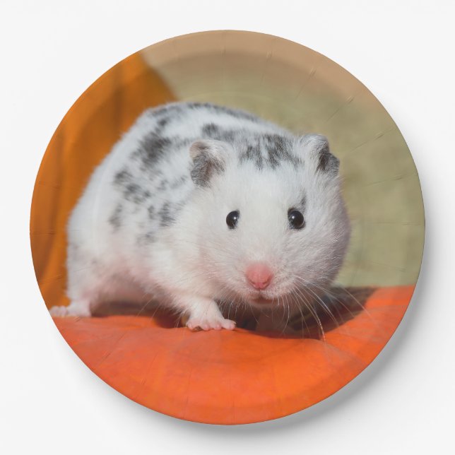 Cute Syrian Hamster White Black Spotted Funny Pet Paper Plates (Front)