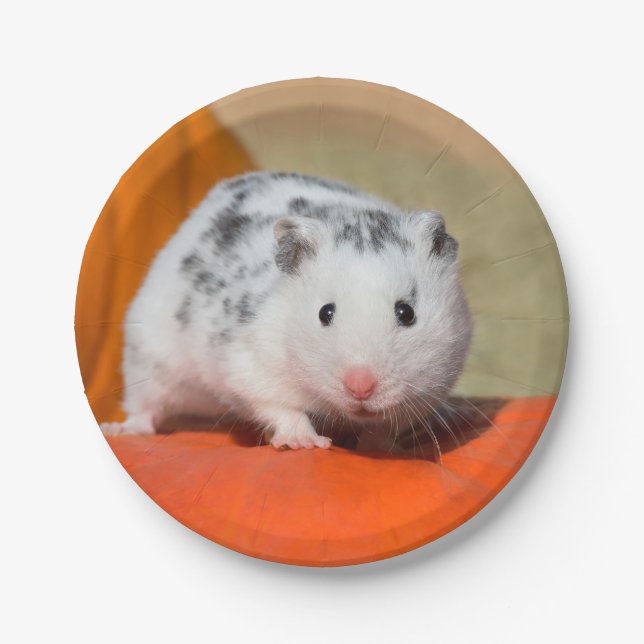 Cute Syrian Hamster White Black Spotted Funny Pet Paper Plates (Front)
