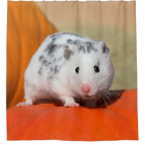 Cute Syrian Hamster White Black Spotted Funny Pet Shower Curtain
