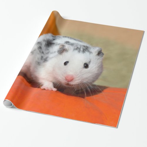 Cute Syrian Hamster White Black Spotted Funny Pet Wrapping Paper