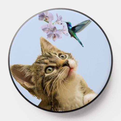 Cute Tabby Cat and Hummingbird PopSocket