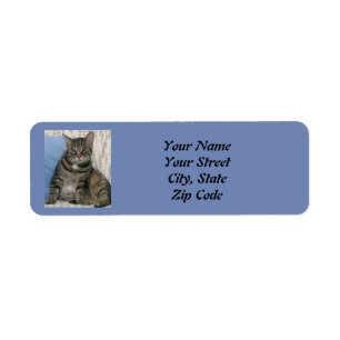 Cute Tabby Cat Blue Label