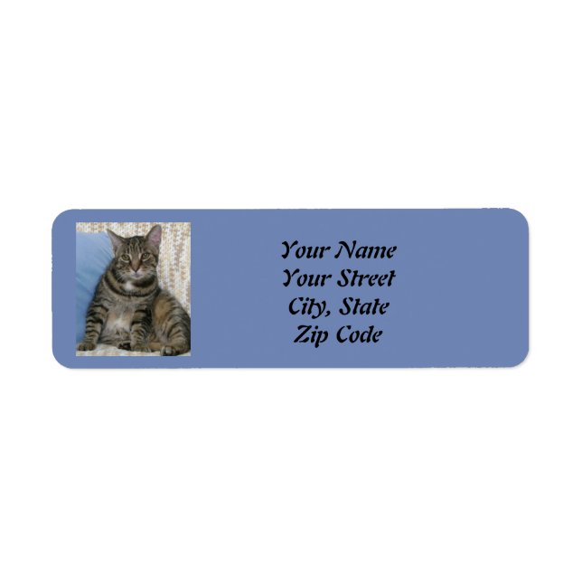 Cute Tabby Cat Blue  Label (Front)