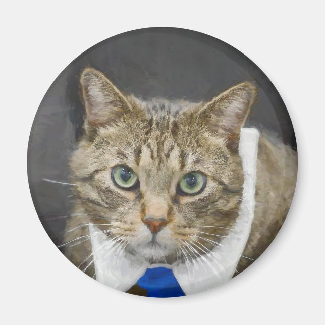 Cute Tabby Cat Brown Grey Blue Tie Pet Magnet (Front)