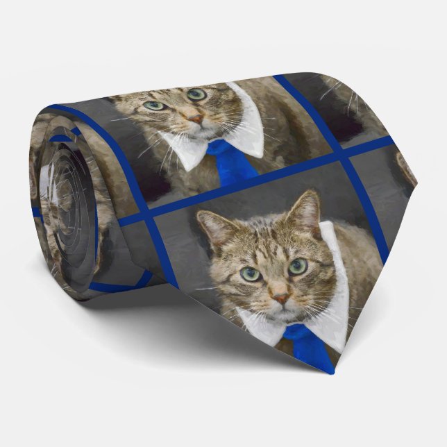 Cute Tabby Cat Brown Wearing Blue Tie (Rolled)