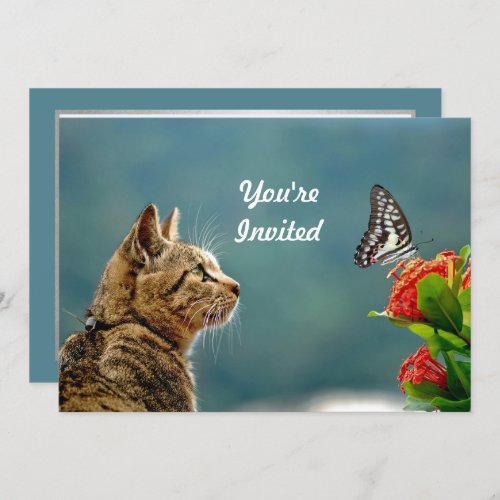 Cute Tabby Cat Butterfly Photo Birthday Invitation