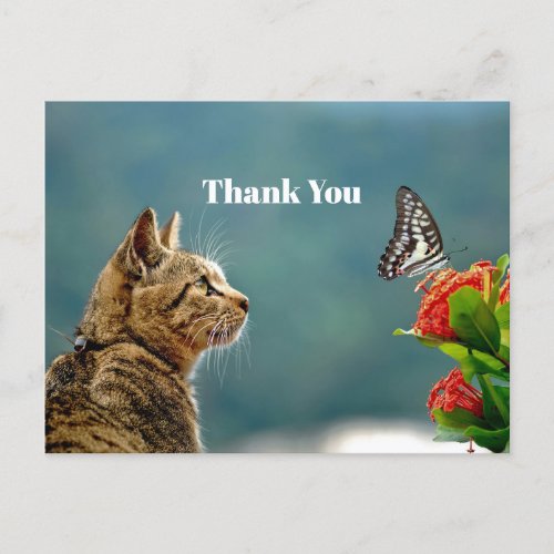 Cute Tabby Cat Butterfly Photo Thank You Postcard